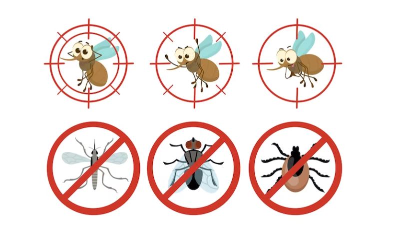 Most Common Household Pests And How To Get Rid Of Them