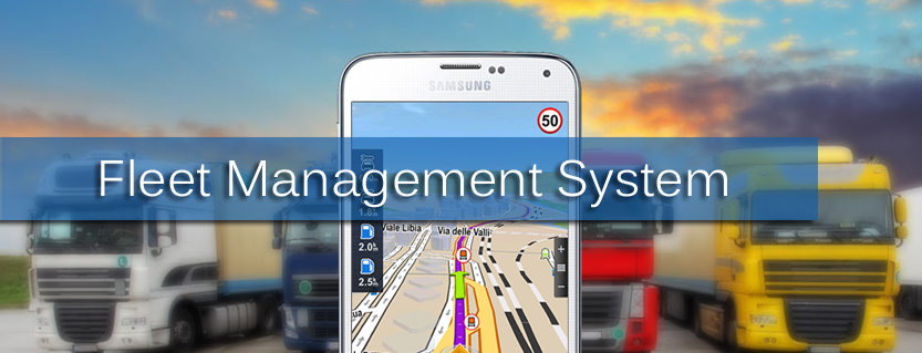 Why Web Development Company is Promoting the Vehicle Management System ...